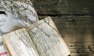 全字组词(泉字组词)