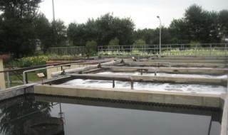 活性污泥法介绍（活性污泥法作用）