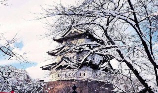 初冬的句子（初冬的句子短句唯美朋友圈）