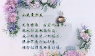 心灵美好的句子 心灵美好的句子简短