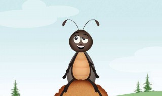 屎壳郎学名 屎壳郎学名叫什么