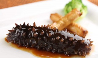 葱烧海参怎么做（家常葱烧海参怎么做）