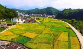 惬意的乡村生活的句子 农村接地气的文案短句