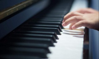 音乐家的故事 音乐家的故事动画片