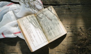 汤姆索亚历险记的主要内容 汤姆索亚历险记的主要内容50字左右