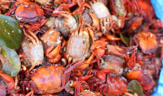 小螃蟹怎么做好吃 河里的小螃蟹怎么做好吃