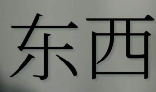 东西歌词是什么意思 东西这首歌的歌词是什么