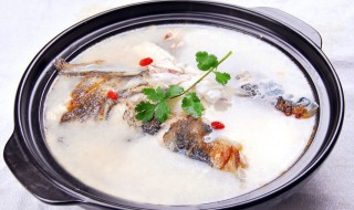 怎样做清炖鱼（怎样做清炖鱼头汤）