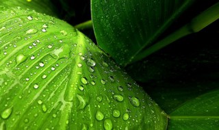 雨怎么形成的（流星雨怎么形成的）