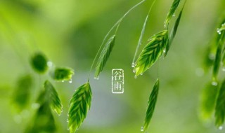 谷雨为什么祭奠仓颉 谷雨祭祀文祖仓颉图片