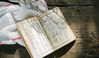 积极向上正能量的文章(工作积极向上正能量的文章)