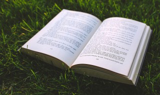 大漠沙如雪的下一句是什么 大漠沙如雪的下一句是什么? 王维写的