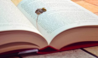 运动会美文（运动会美文600字）