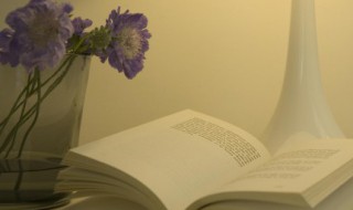 城市文明建设的名言警句 城市文明建设的名言警句有哪些