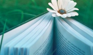 咏柳是一首什么样的诗（咏柳是一句什么诗）