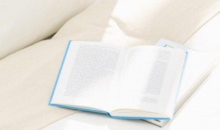 夜泊牛渚怀古是一首什么诗（夜泊牛渚怀古的意思）