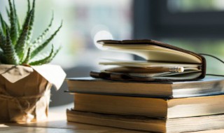 咏柳古诗的意思简短(咏柳古诗的意思简短概括)