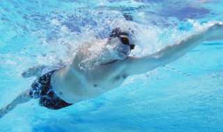 仰泳的动作要领（仰泳的动作要领口诀）