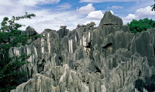 石林在哪里（燕崖石林在哪里）