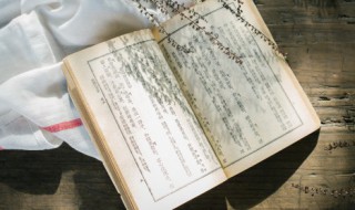 害羞的反义词是什么(腼腆害羞的反义词是什么)