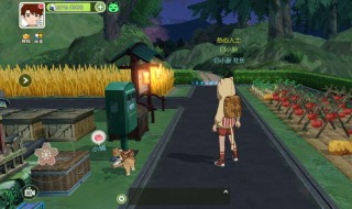 小森生活怎么制作卷心菜肉卷（小森生活圆菜头）