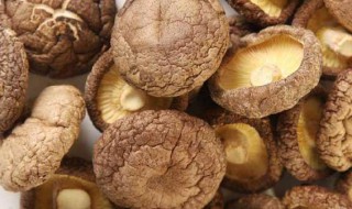 干蘑菇保存的方法（干蘑菇保存的方法有哪些）