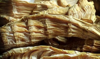 干笋保存方法（干笋保存方法有哪些）