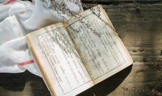 关于疫情的议论文800字（关于疫情的议论文800字2022）