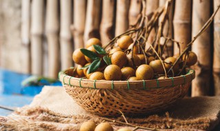 桂圆和红枣能丰胸（桂圆红枣能丰胸吗）