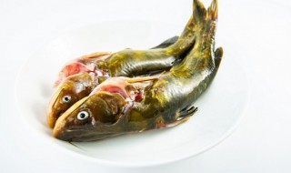 黄骨鱼的功效与作用（黄骨鱼的功效与作用及食用方法）
