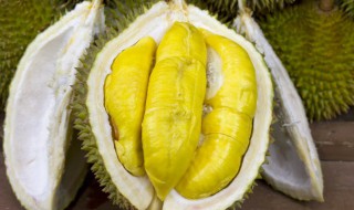 烤榴莲 烤榴莲要烤多少分钟