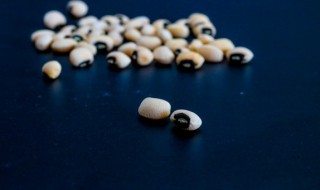 饭豆怎么样才容易煮烂 饭豆怎么样才容易煮烂颜色好看