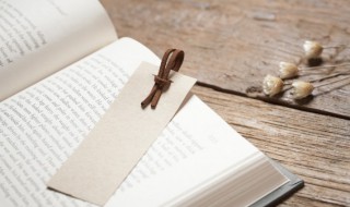 辅音音素有哪些(元音音素和辅音音素有哪些)