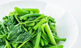 温热性的食物和蔬菜有哪些（温热性的水果有哪些）