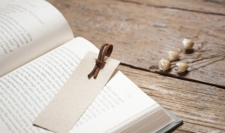 不徇私情读音 徇怎么读