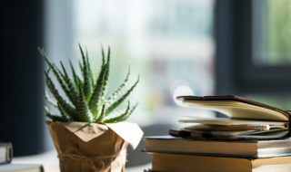 撞倒的读音 撞倒的拼音怎么写啊