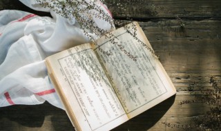 雫读音 猫羽雫读音