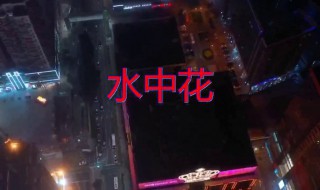 水中花歌词国语版（水中花歌词国语版比较奥话版）