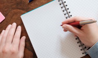 讲爱国人物的故事作文（讲爱国人物的故事作文600字）