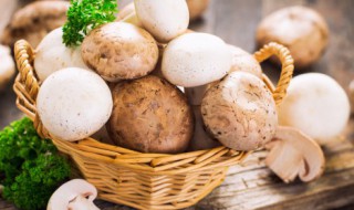 怎么炒蘑菇好吃的五大要领 如何炒蘑菇最好吃简单