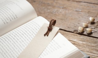 猬组词语（猬组词语有哪些）