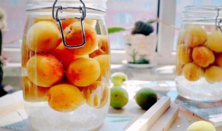 青梅煮酒怎么煮(青梅煮酒怎么煮才好喝)