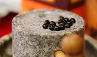 黑豆茸的功效与作用 妙众堂黑豆茸的功效与作用