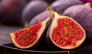 无花果寓意（无花果寓意着什么样的人生）