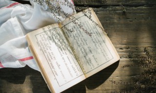 鳌鱼的寓意（鳌鱼的寓意和象征）