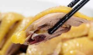 东江盐焗鸡是哪个地方的菜（东江盐焗鸡是哪里的）