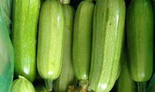 西葫芦的营养价值及功效 西葫芦的营养价值及功效与作用