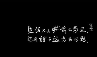 生活不止眼前的苟且什么意思 生活不止眼前的苟且什么意思还有诗和远方