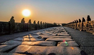 卢沟桥的狮子有哪些特点(卢沟桥的狮子有哪些特点和作用)