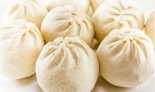 教你怎样做包子（教你怎么做包子）